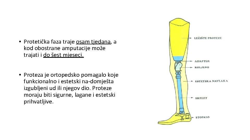  • Protetička faza traje osam tjedana, a kod obostrane amputacije može trajati i