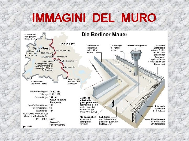 IMMAGINI DEL MURO 