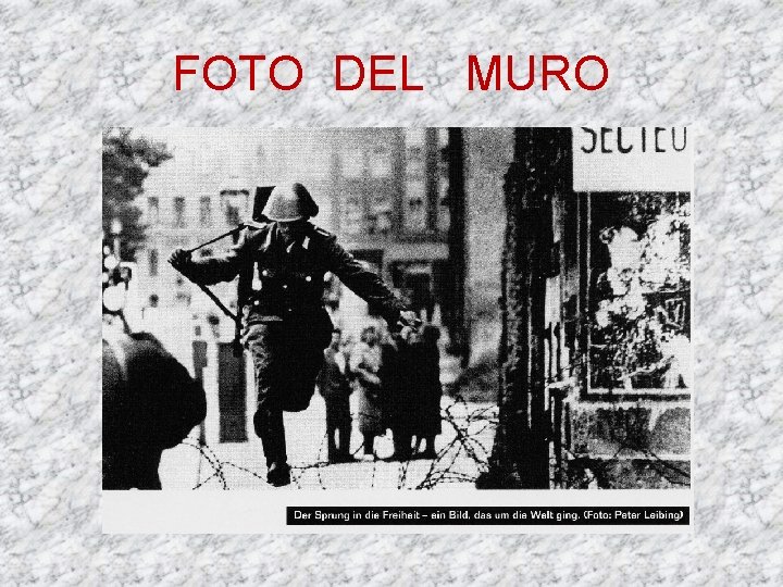 FOTO DEL MURO 