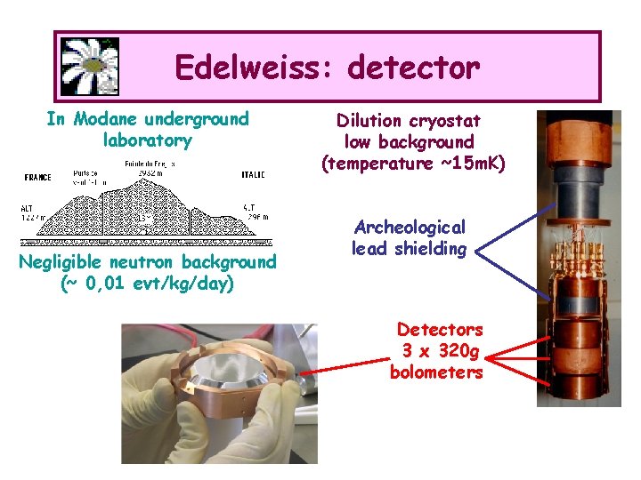 Edelweiss: detector In Modane underground laboratory Negligible neutron background (~ 0, 01 evt/kg/day) Dilution