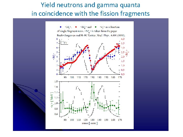 Yield neutrons and gamma quanta in coincidence with the fission fragments 