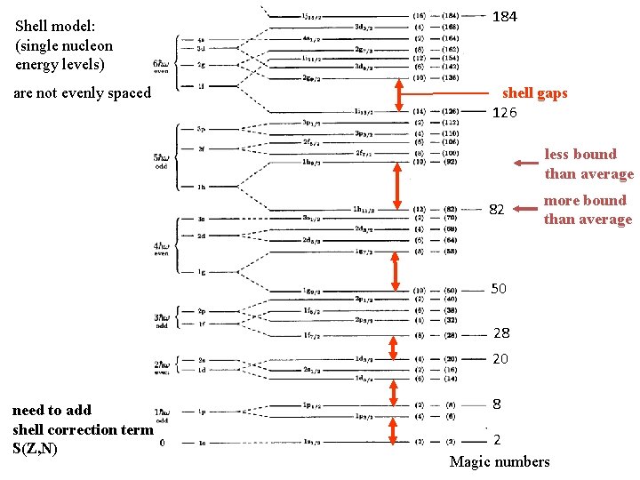 Shell model: (single nucleon energy levels) are not evenly spaced 184 shell gaps 126