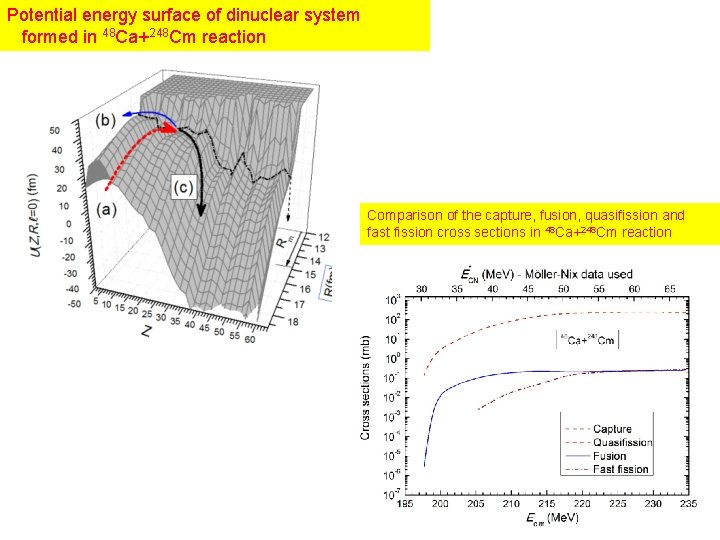 Potential energy surface of dinuclear system formed in 48 Ca+248 Cm reaction Comparison of