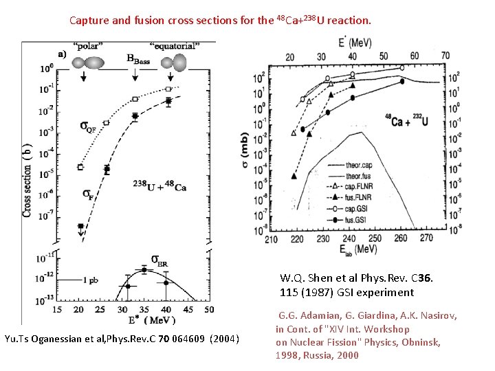 Capture and fusion cross sections for the 48 Ca+238 U reaction. W. Q. Shen