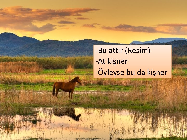 -Bu attır (Resim) -At kişner -Öyleyse bu da kişner 