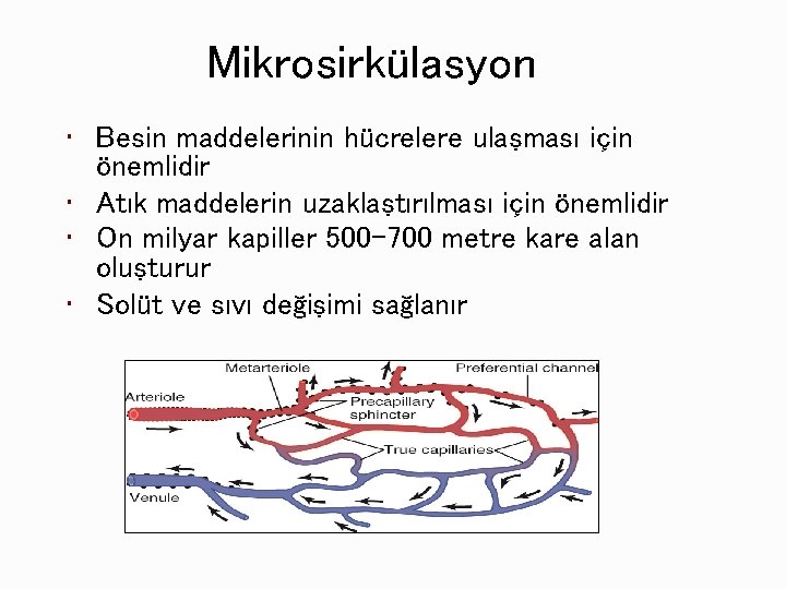 Mikrosirkülasyon • Besin maddelerinin hücrelere ulaşması için önemlidir • Atık maddelerin uzaklaştırılması için önemlidir