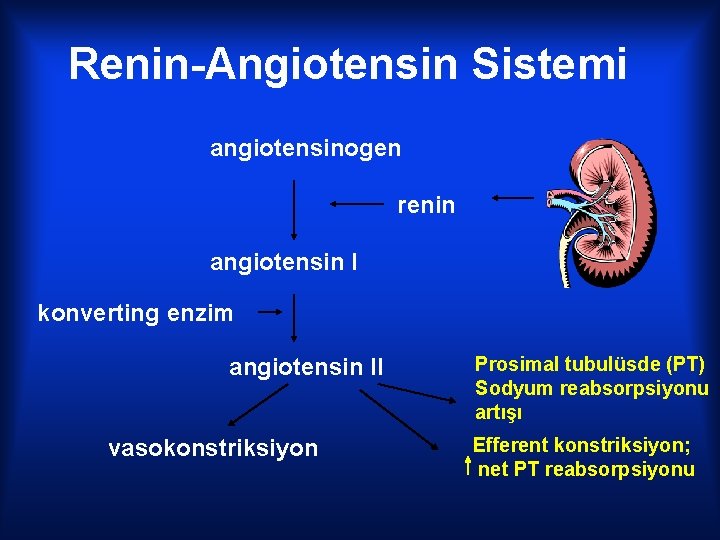 Renin-Angiotensin Sistemi angiotensinogen renin angiotensin I konverting enzim angiotensin II vasokonstriksiyon Prosimal tubulüsde (PT)