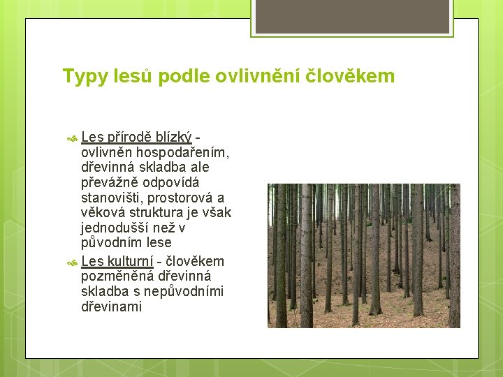 Typy lesů podle ovlivnění člověkem Les přírodě blízký - ovlivněn hospodařením, dřevinná skladba ale
