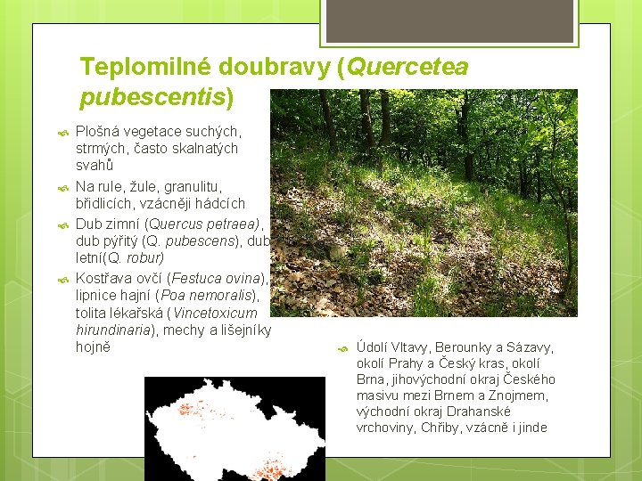 Teplomilné doubravy (Quercetea pubescentis) Plošná vegetace suchých, strmých, často skalnatých svahů Na rule, žule,