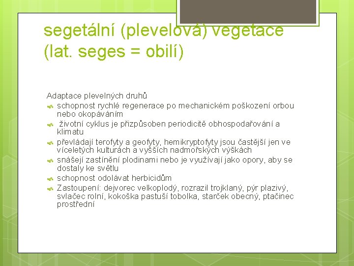 segetální (plevelová) vegetace (lat. seges = obilí) Adaptace plevelných druhů schopnost rychlé regenerace po