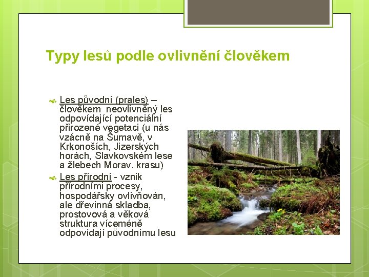 Typy lesů podle ovlivnění člověkem Les původní (prales) – člověkem neovlivněný les odpovídající potenciální