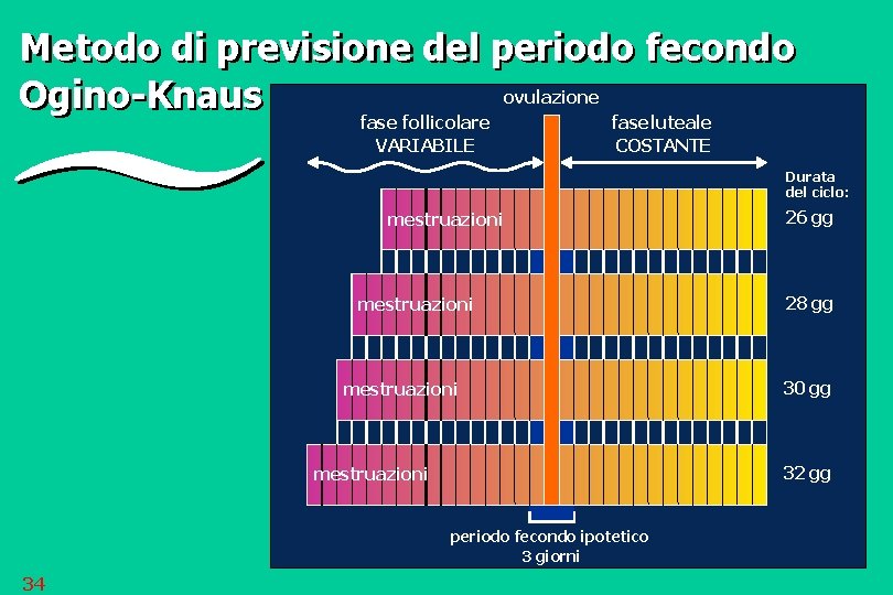Metodo di previsione del periodo fecondo ovulazione Ogino-Knaus fase follicolare VARIABILE fase luteale COSTANTE
