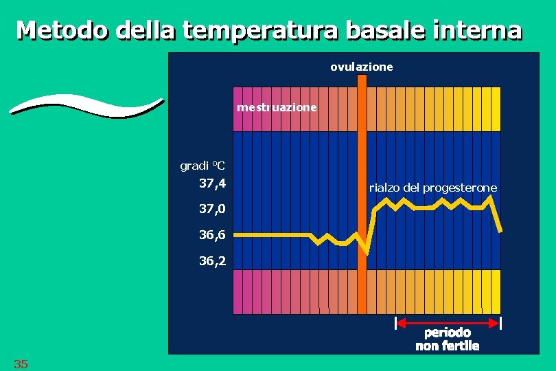 Metodo della temperatura basale interna ovulazione mestruazione gradi °C 37, 4 37, 0 36,