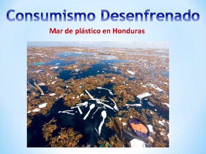Mar de plástico en Honduras 