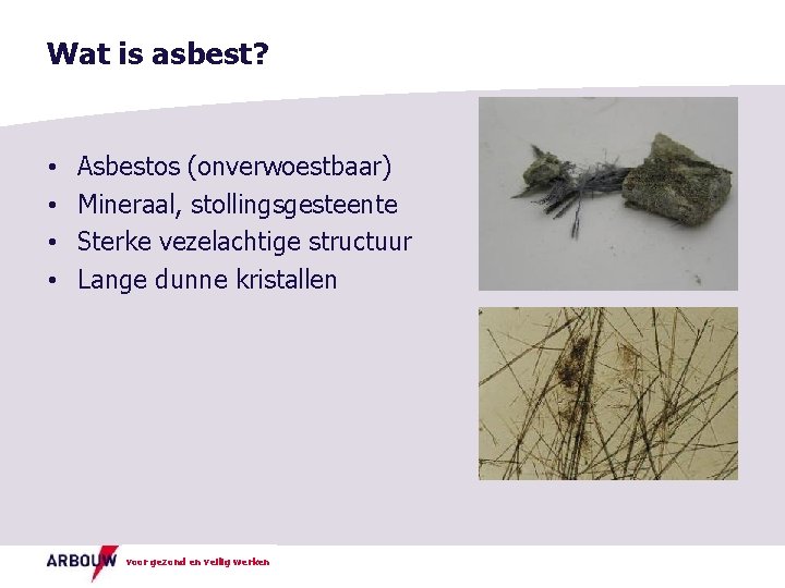 Wat is asbest? • • Asbestos (onverwoestbaar) Mineraal, stollingsgesteente Sterke vezelachtige structuur Lange dunne