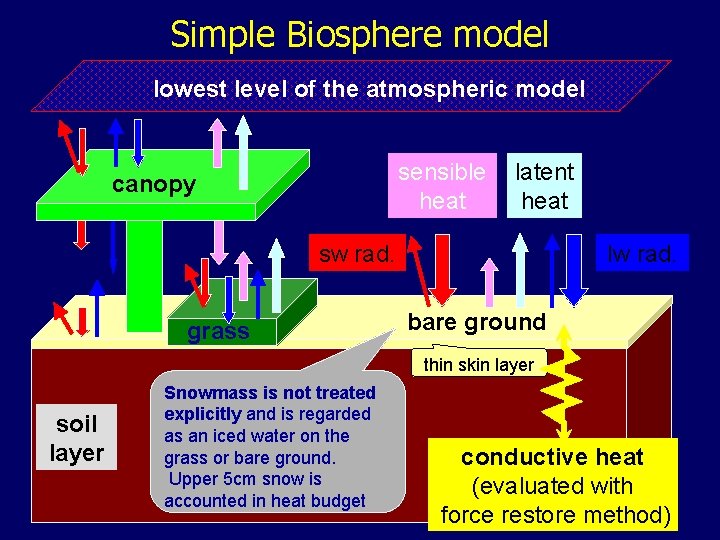 Simple Biosphere model lowest level of the atmospheric model sensible heat canopy latent heat