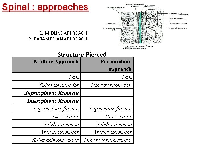 Spinal : approaches 1. MIDLINE APPROACH 2. PARAMEDIAN APPROACH Structure Pierced Midline Approach Paramedian