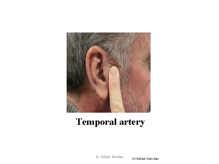 Temporal artery Dr: Rehab Hemdan 