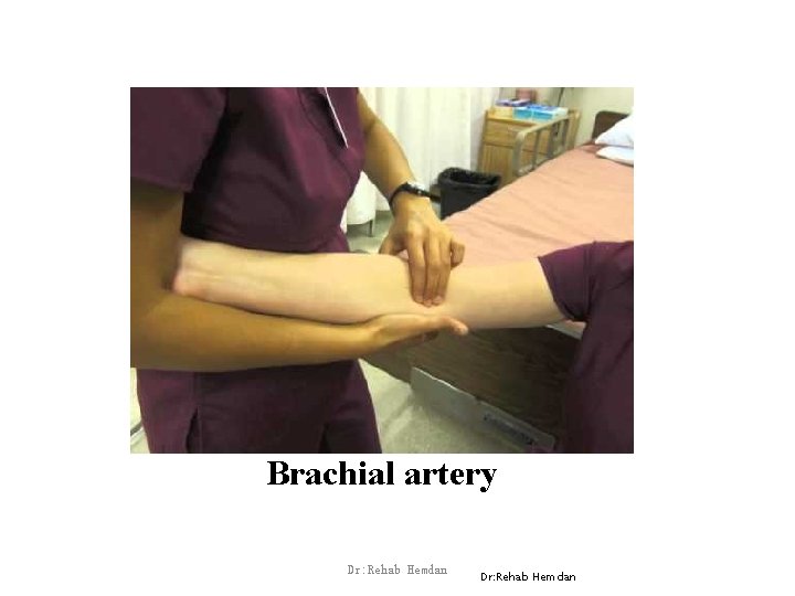 Brachial artery Dr: Rehab Hemdan 
