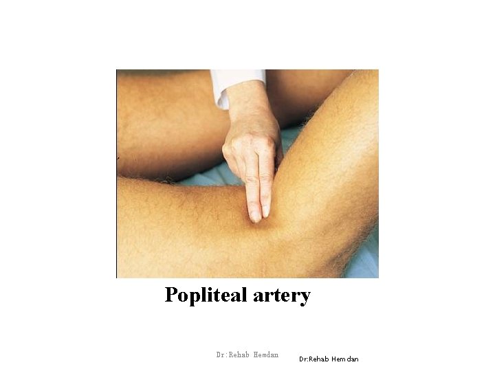 Popliteal artery Dr: Rehab Hemdan 