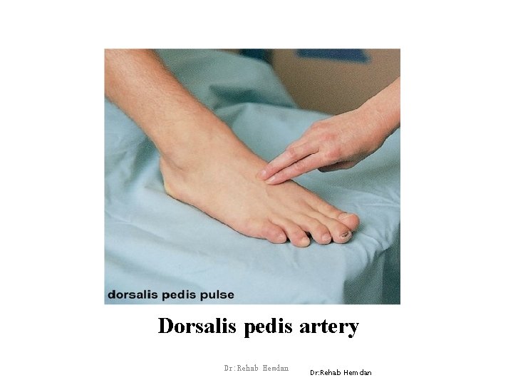 Dorsalis pedis artery Dr: Rehab Hemdan 