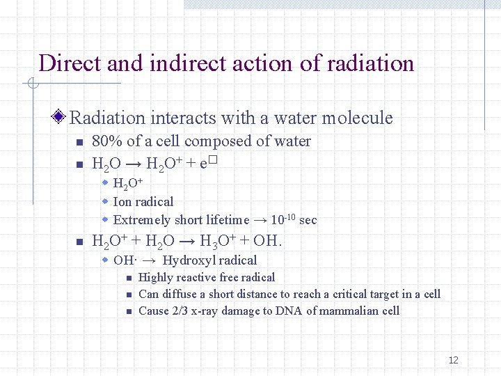 Direct and indirect action of radiation Radiation interacts with a water molecule n n