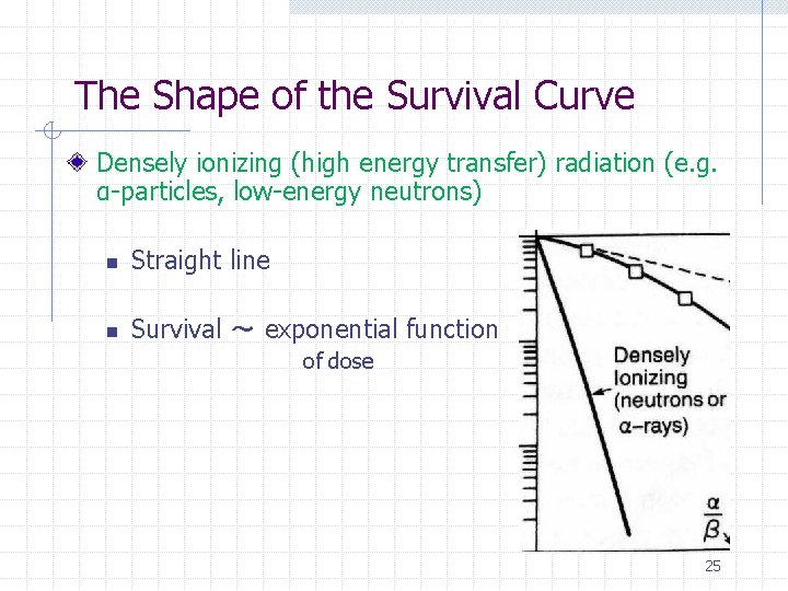 The Shape of the Survival Curve Densely ionizing (high energy transfer) radiation (e. g.