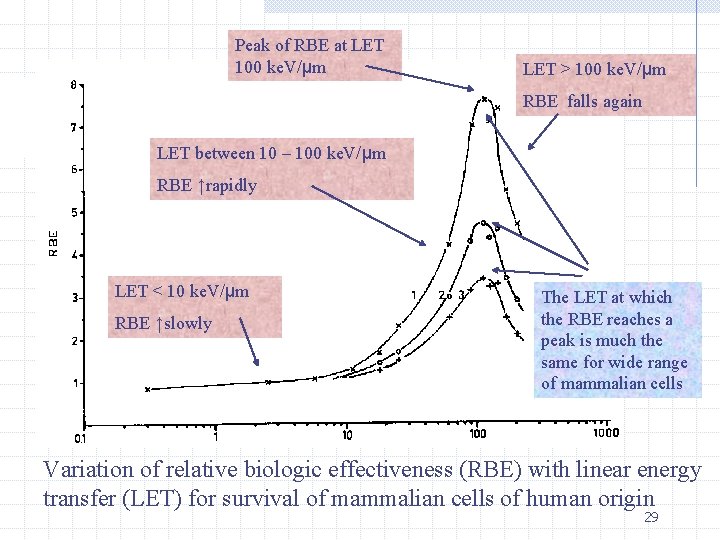 Peak of RBE at LET 100 ke. V/μm LET > 100 ke. V/μm RBE