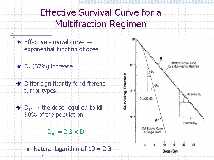 Effective Survival Curve for a Multifraction Regimen Effective survival curve → exponential function of