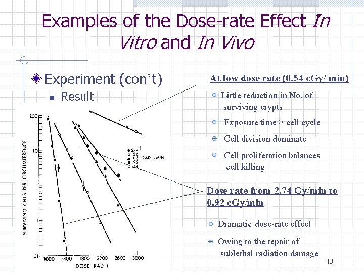 Examples of the Dose-rate Effect In Vitro and In Vivo Experiment (con’t) n Result