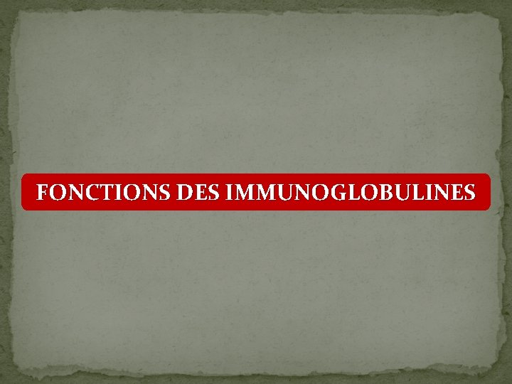 FONCTIONS DES IMMUNOGLOBULINES 