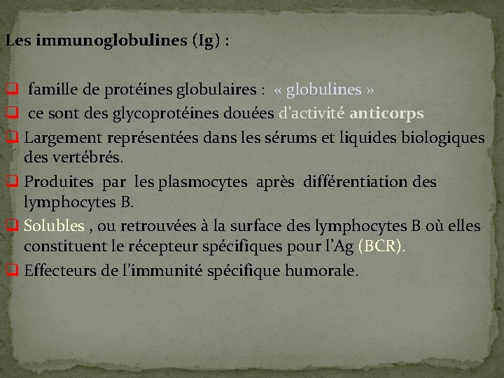 Les immunoglobulines (Ig) : q famille de protéines globulaires : « globulines » q