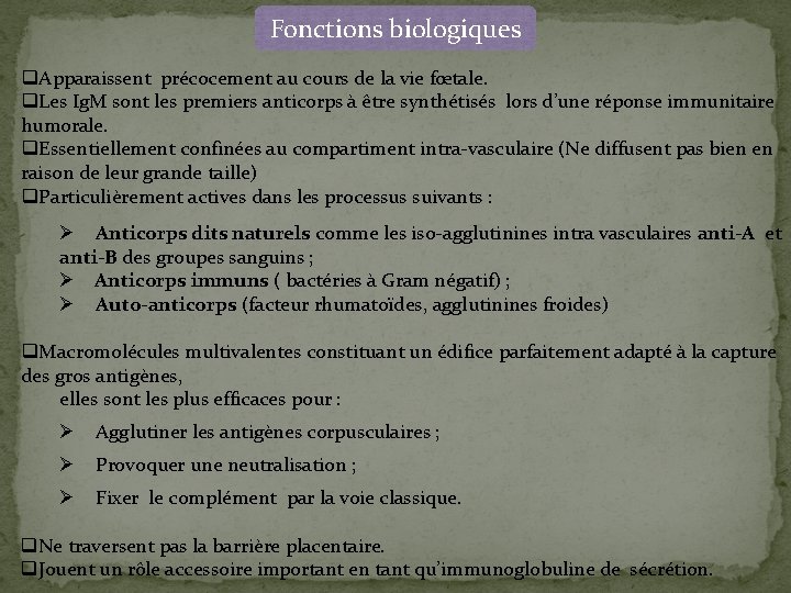 Fonctions biologiques q. Apparaissent précocement au cours de la vie fœtale. q. Les Ig.