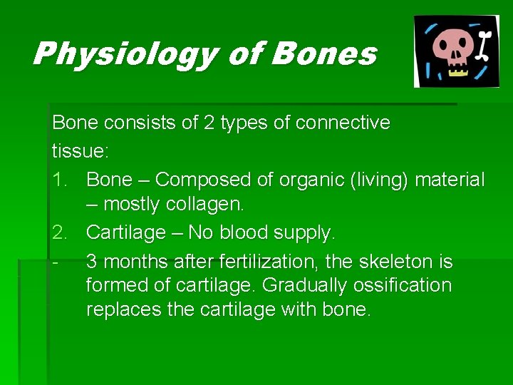 Physiology of Bones Bone consists of 2 types of connective tissue: 1. Bone –