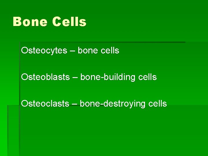 Bone Cells Osteocytes – bone cells Osteoblasts – bone-building cells Osteoclasts – bone-destroying cells