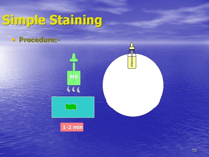 Simple Staining • Procedure: - MB 1 -2 min 13 