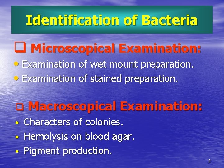 Identification of Bacteria q Microscopical Examination: • Examination of wet mount preparation. • Examination