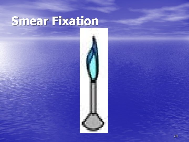 Smear Fixation 28 