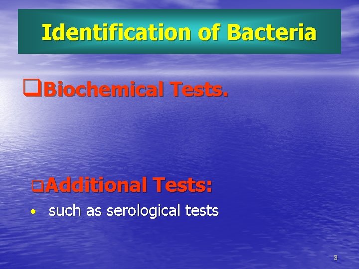 Identification of Bacteria q. Biochemical Tests. q. Additional Tests: • such as serological tests