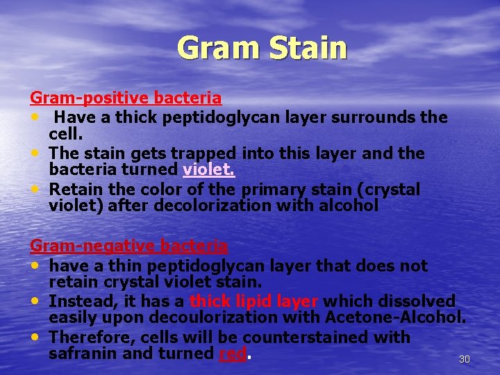 Gram Stain Gram-positive bacteria • Have a thick peptidoglycan layer surrounds the cell. •