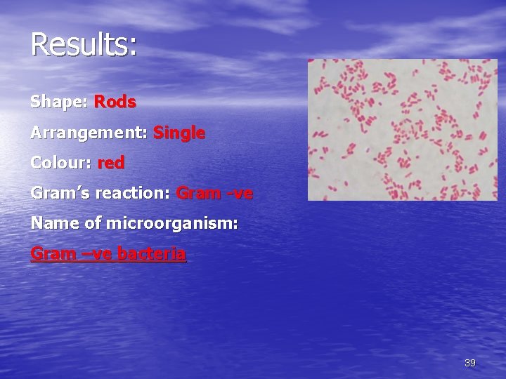 Results: Shape: Rods Arrangement: Single Colour: red Gram’s reaction: Gram -ve Name of microorganism: