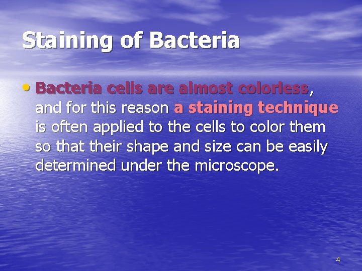 Staining of Bacteria • Bacteria cells are almost colorless, and for this reason a