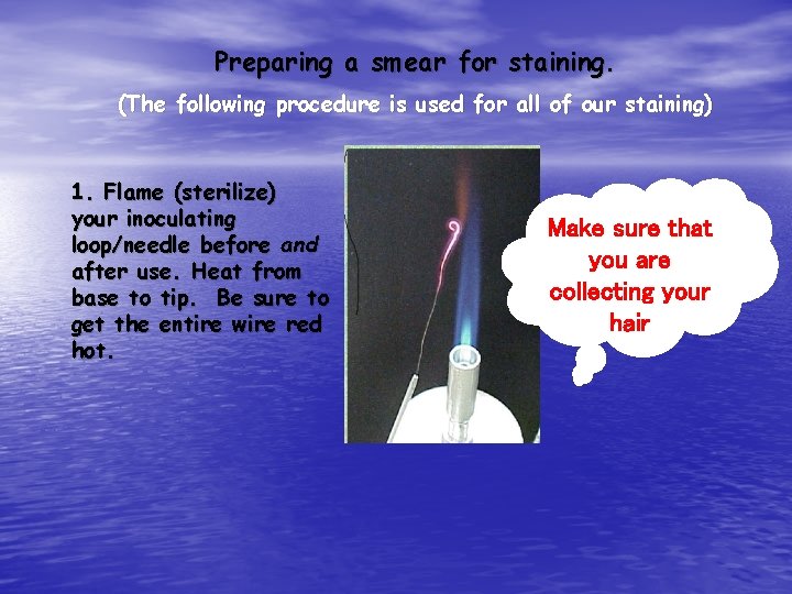 Preparing a smear for staining. (The following procedure is used for all of our