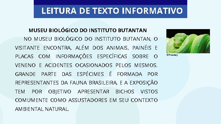 LEITURA DE TEXTO INFORMATIVO MUSEU BIOLÓGICO DO INSTITUTO BUTANTAN NO MUSEU BIOLÓGICO DO INSTITUTO
