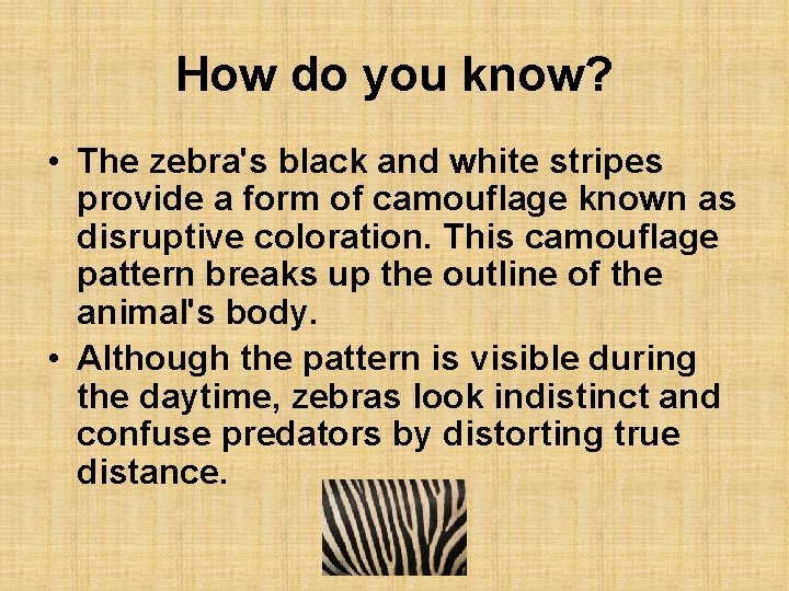 How do you know? • The zebra's black and white stripes provide a form