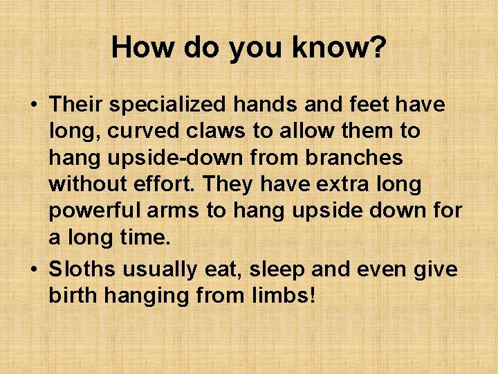 How do you know? • Their specialized hands and feet have long, curved claws