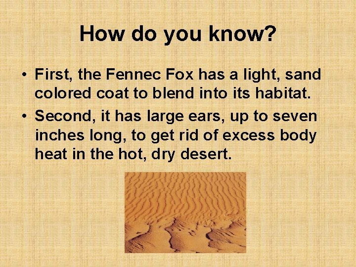 How do you know? • First, the Fennec Fox has a light, sand colored
