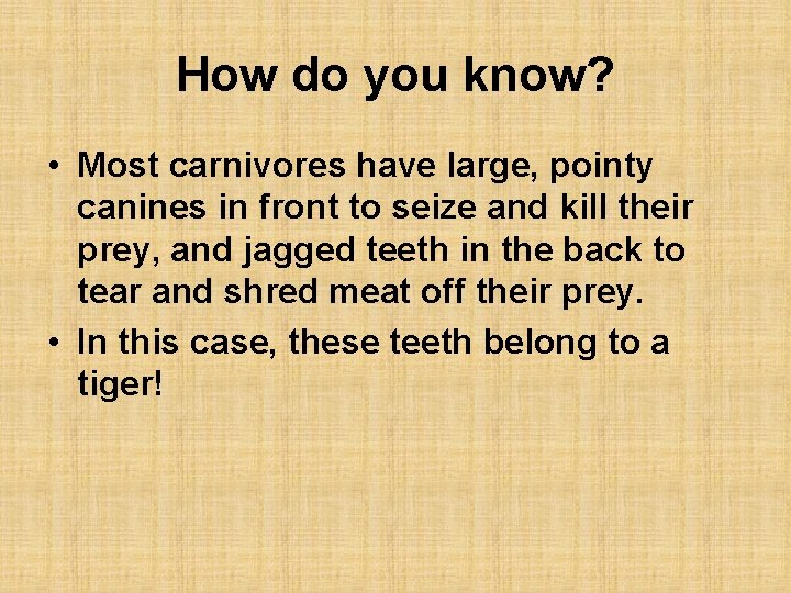 How do you know? • Most carnivores have large, pointy canines in front to