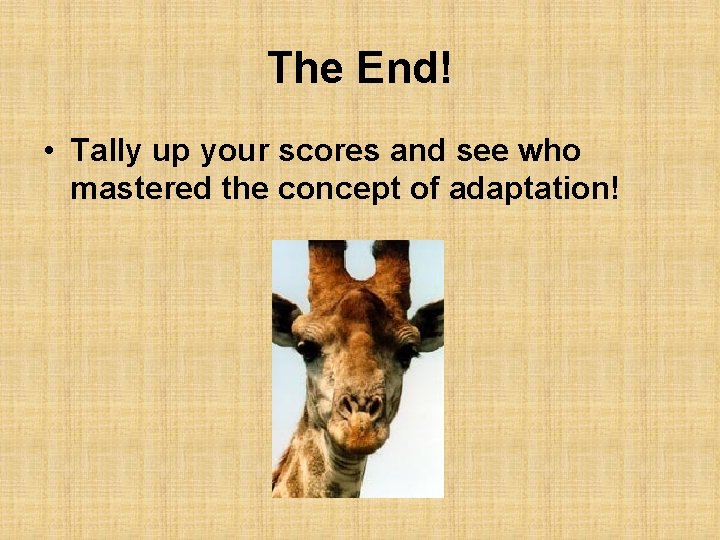 The End! • Tally up your scores and see who mastered the concept of