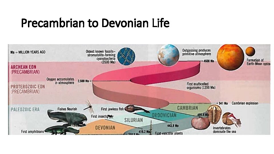 Precambrian to Devonian Life 